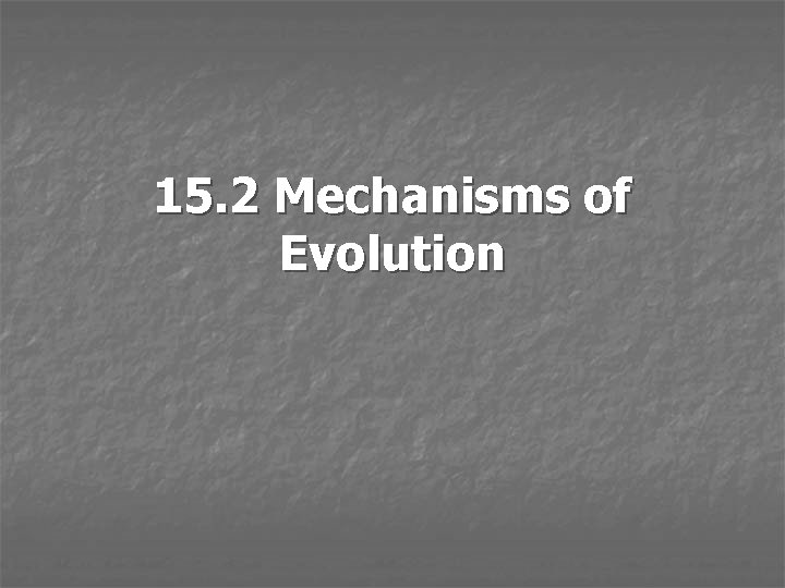 15. 2 Mechanisms of Evolution 