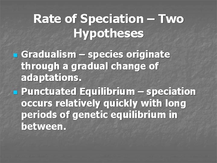 Rate of Speciation – Two Hypotheses n n Gradualism – species originate through a