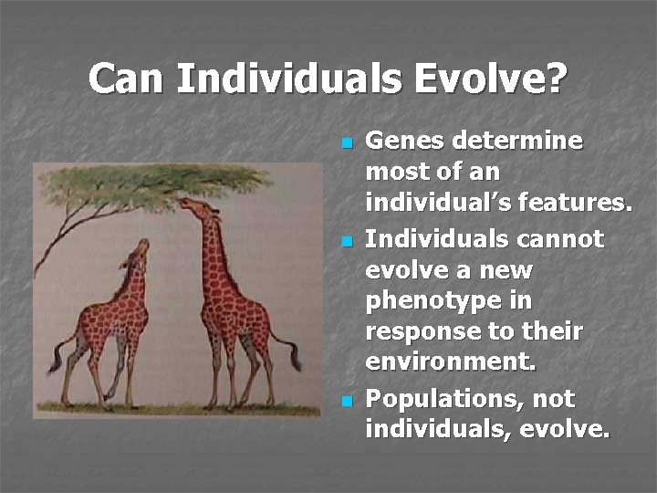 Can Individuals Evolve? n n n Genes determine most of an individual’s features. Individuals