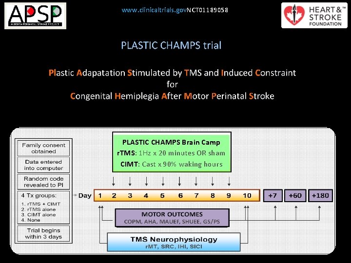 www. clinicaltrials. gov. NCT 01189058 PLASTIC CHAMPS Brain Camp r. TMS: 1 Hz x