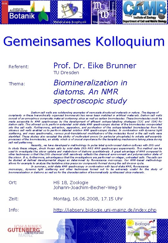 Molekulare Biophysik Gemeinsames Kolloquium Referent: Prof. Dr. Eike Brunner TU Dresden Thema: Biomineralization in