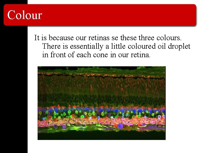 Colour It is because our retinas se these three colours. There is essentially a
