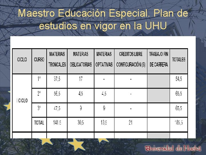 Maestro Educación Especial. Plan de estudios en vigor en la UHU 