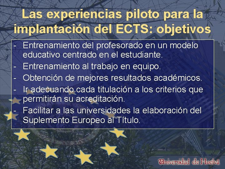 Las experiencias piloto para la implantación del ECTS: objetivos - Entrenamiento del profesorado en