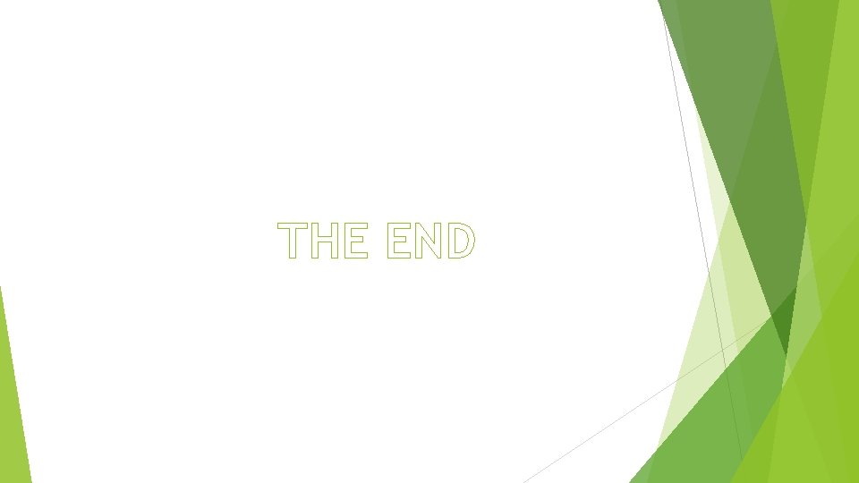 THE END 