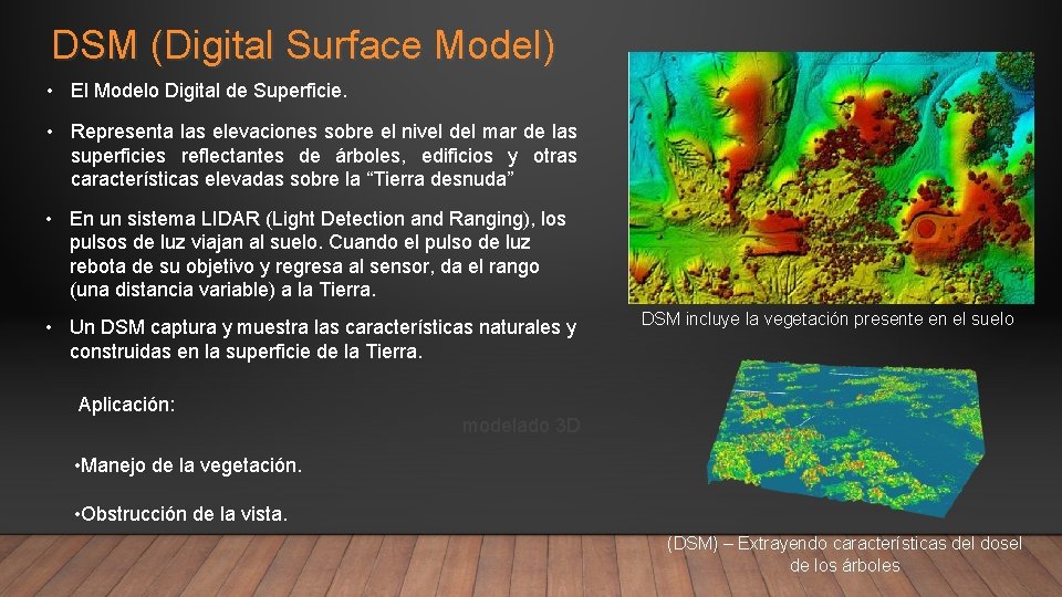 DSM (Digital Surface Model) • El Modelo Digital de Superficie. • Representa las elevaciones