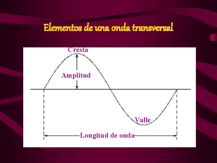 Elementos de una onda transversal Cresta Amplitud Valle Longitud de onda 