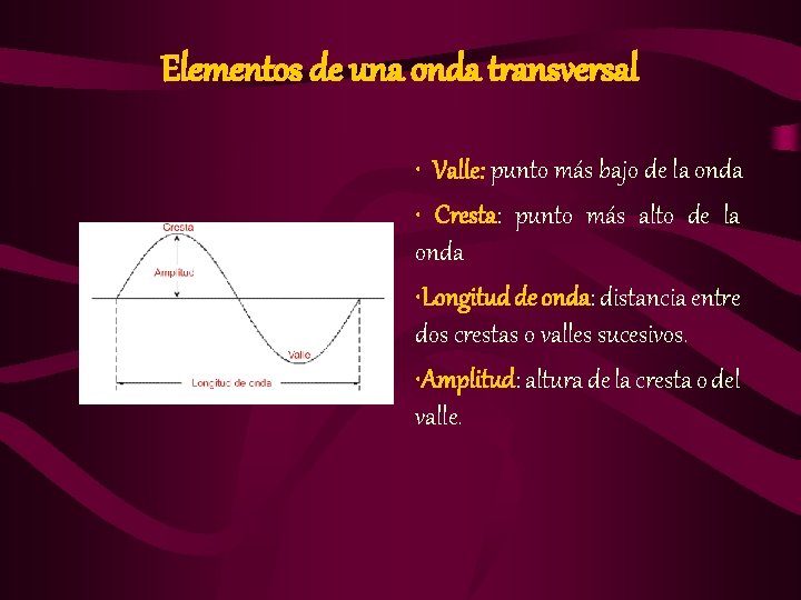 Elementos de una onda transversal • Valle: punto más bajo de la onda •