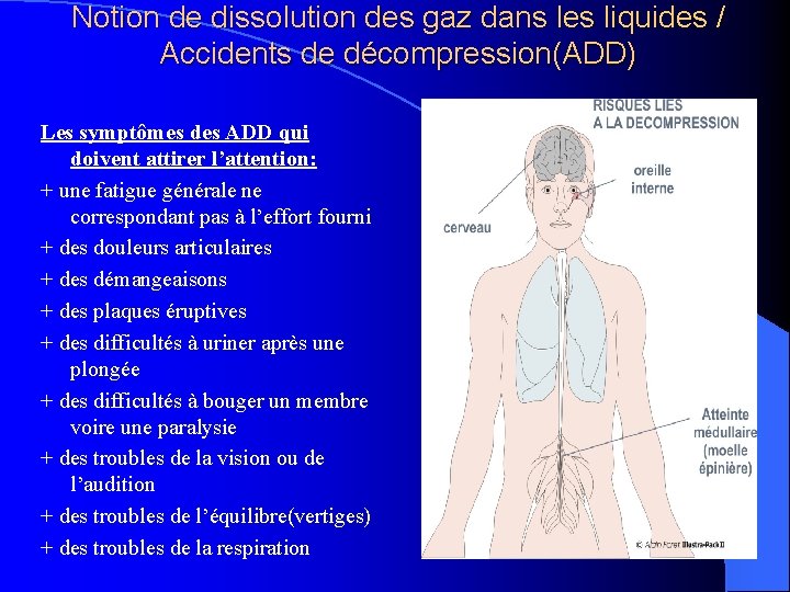 Notion de dissolution des gaz dans les liquides / Accidents de décompression(ADD) Les symptômes Notion de dissolution des gaz dans les liquides / Accidents de décompression(ADD) Les symptômes