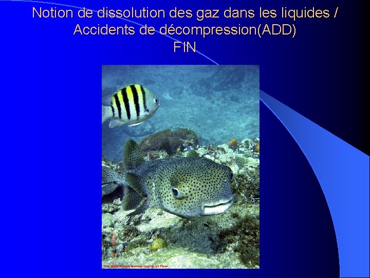 Notion de dissolution des gaz dans les liquides / Accidents de décompression(ADD) FIN Notion de dissolution des gaz dans les liquides / Accidents de décompression(ADD) FIN
