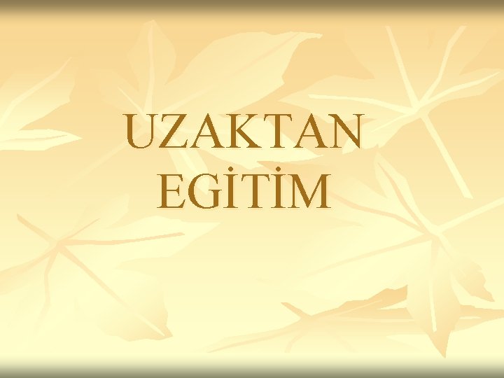 UZAKTAN EGİTİM 