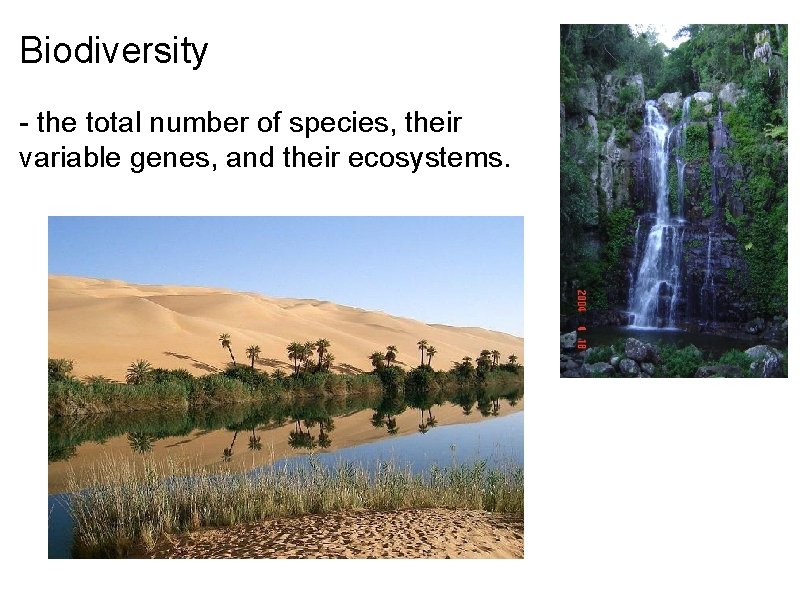 Biodiversity - the total number of species, their variable genes, and their ecosystems. 