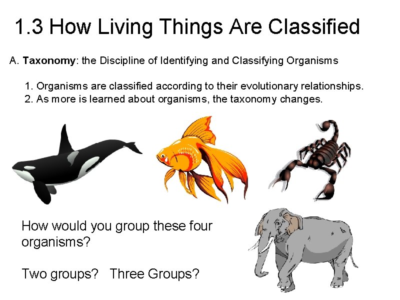 1. 3 How Living Things Are Classified A. Taxonomy: the Discipline of Identifying and