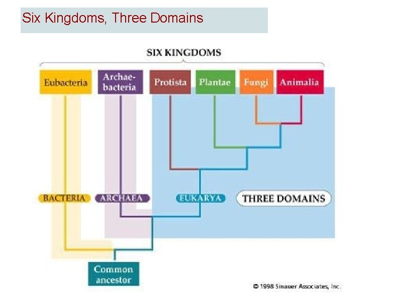 Six Kingdoms, Three Domains 