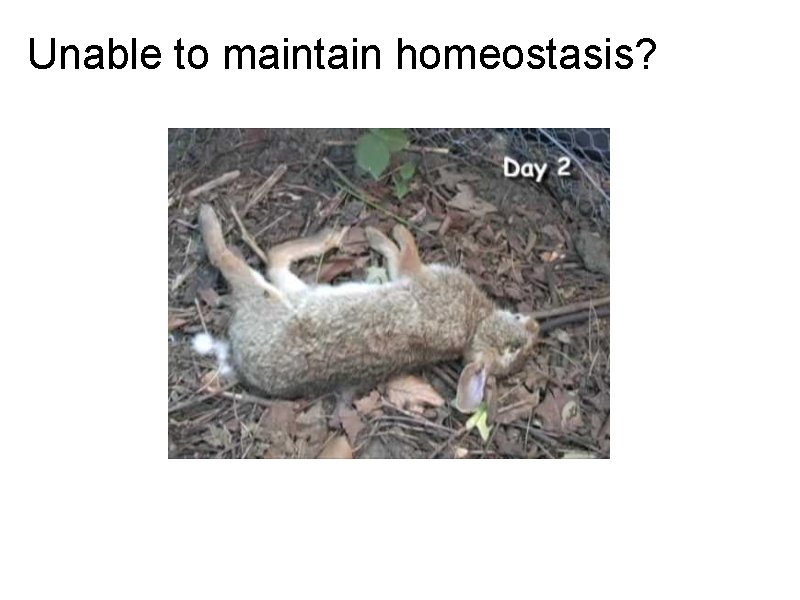 Unable to maintain homeostasis? 