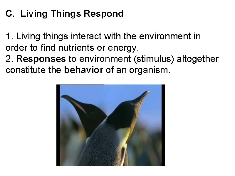 C. Living Things Respond 1. Living things interact with the environment in order to