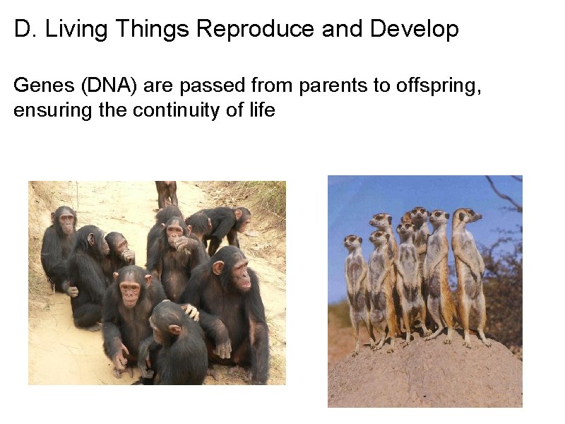 D. Living Things Reproduce and Develop Genes (DNA) are passed from parents to offspring,