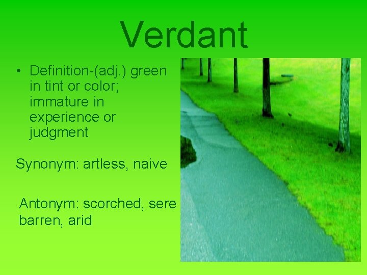 Verdant • Definition-(adj. ) green in tint or color; immature in experience or judgment Verdant • Definition-(adj. ) green in tint or color; immature in experience or judgment