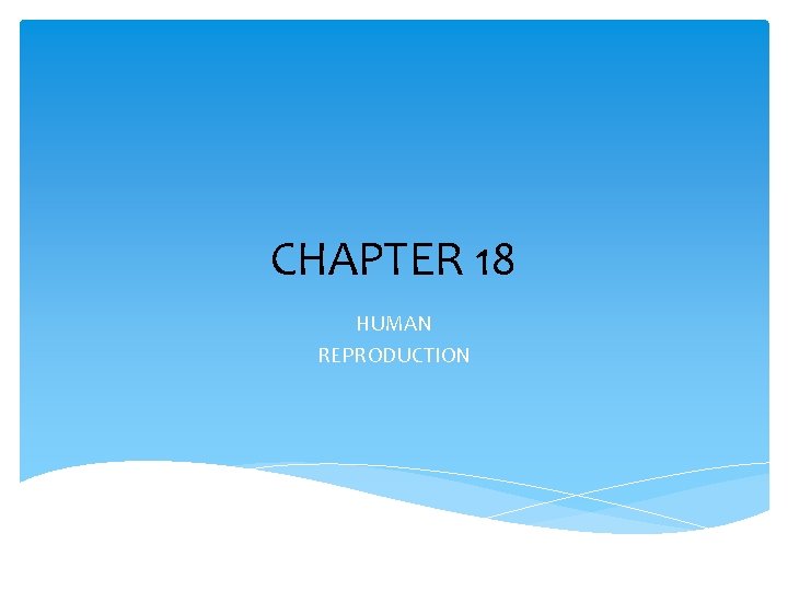 CHAPTER 18 HUMAN REPRODUCTION 