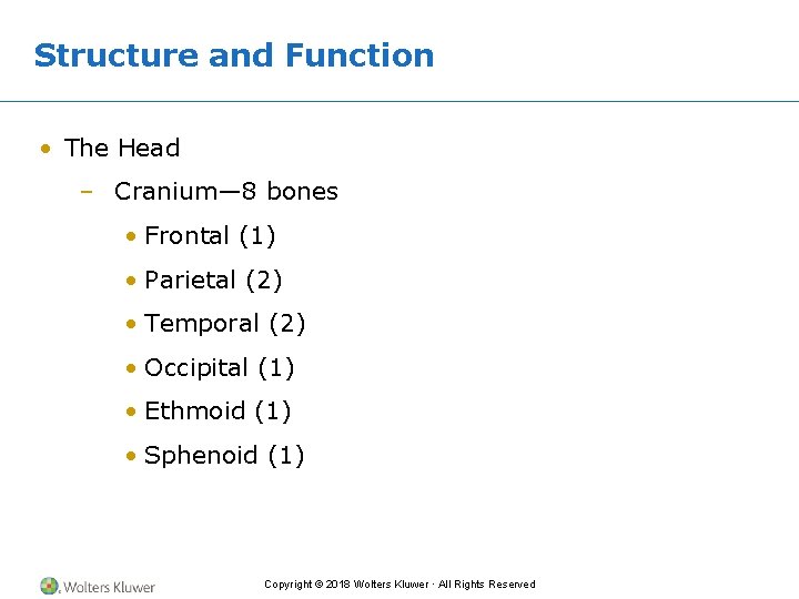 Structure and Function • The Head – Cranium— 8 bones • Frontal (1) •