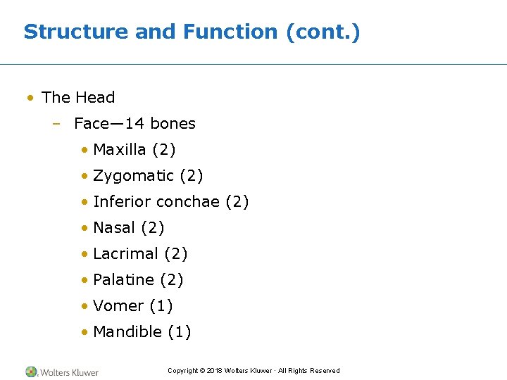 Structure and Function (cont. ) • The Head – Face— 14 bones • Maxilla