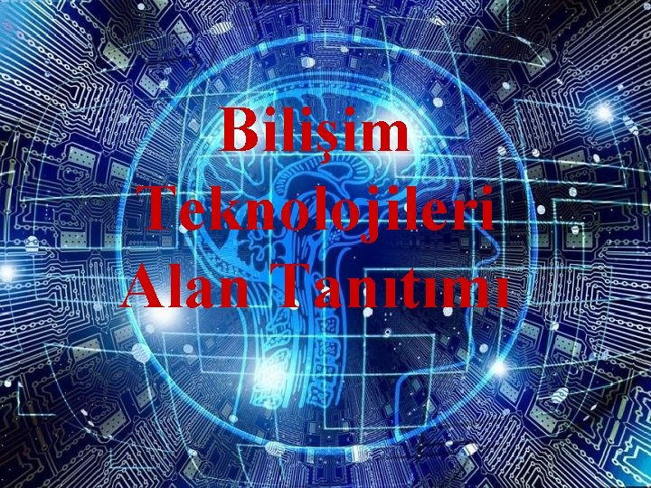 Bilişim Teknolojileri Alan Tanıtımı 