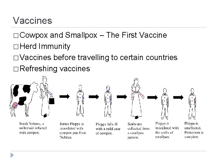 Vaccines � Cowpox and Smallpox – The First Vaccine � Herd Immunity � Vaccines