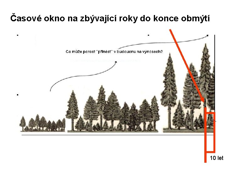 Časové okno na zbývající roky do konce obmýtí 10 let 