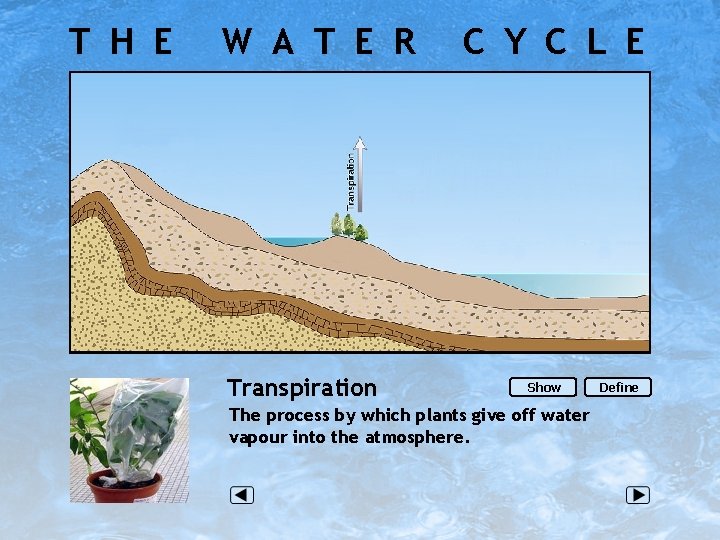 T H E W A T E R Transpiration C Y C L E