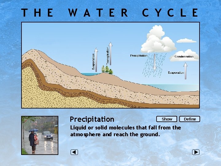 T H E W A T E R Precipitation C Y C L E