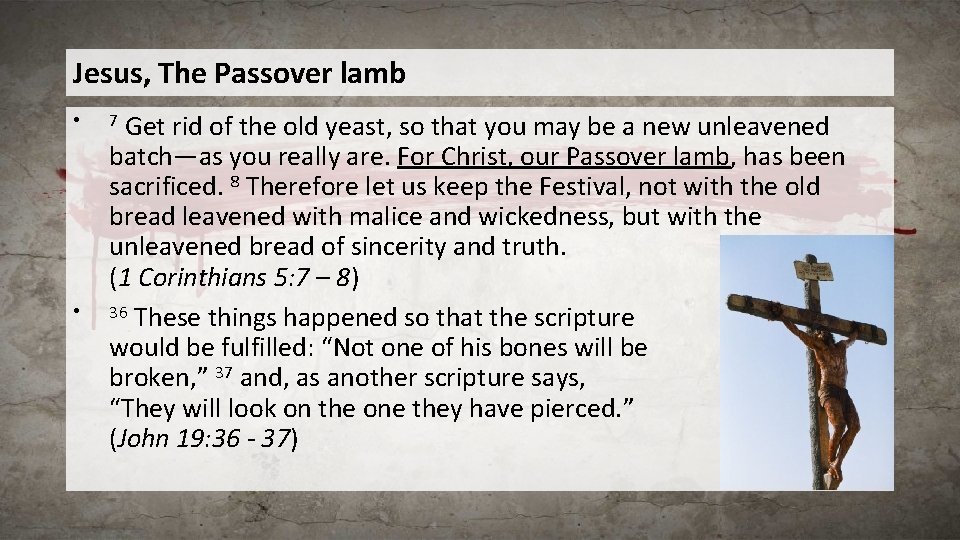 Jesus, The Passover lamb • • Get rid of the old yeast, so that