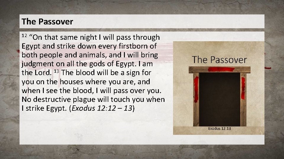 The Passover “On that same night I will pass through Egypt and strike down