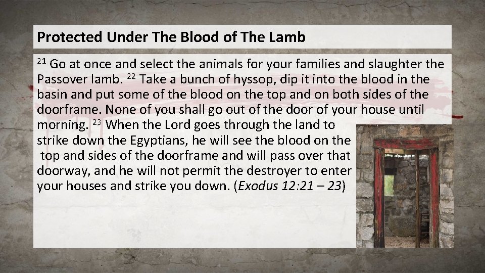 Protected Under The Blood of The Lamb Go at once and select the animals