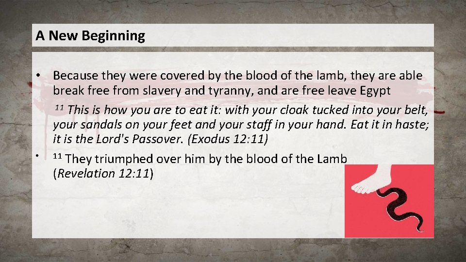 A New Beginning • Because they were covered by the blood of the lamb,