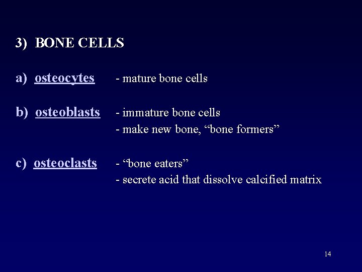 3) BONE CELLS a) osteocytes - mature bone cells b) osteoblasts - immature bone