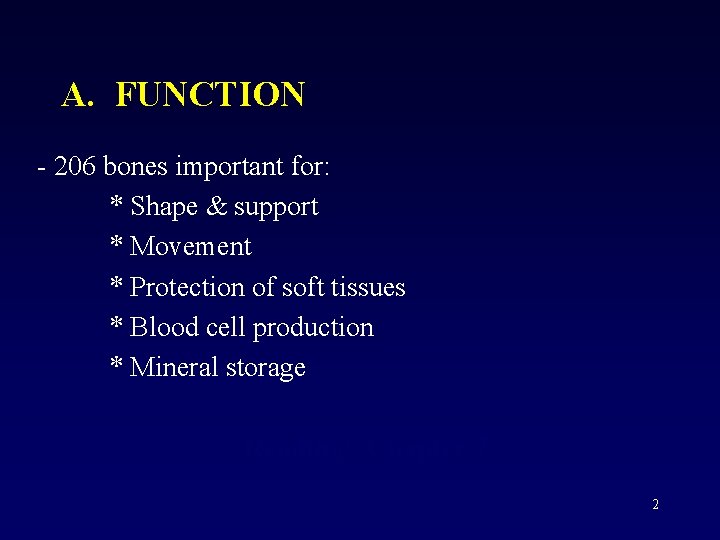 A. FUNCTION - 206 bones important for: * Shape & support * Movement *