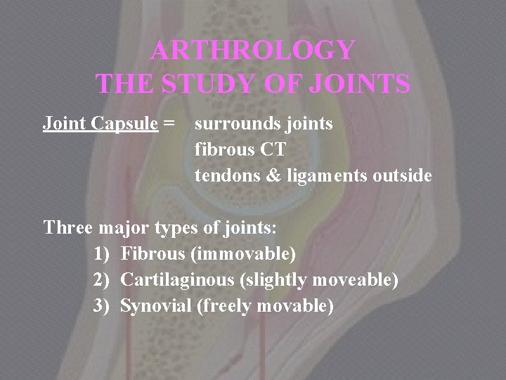 ARTHROLOGY THE STUDY OF JOINTS Joint Capsule = surrounds joints fibrous CT tendons &