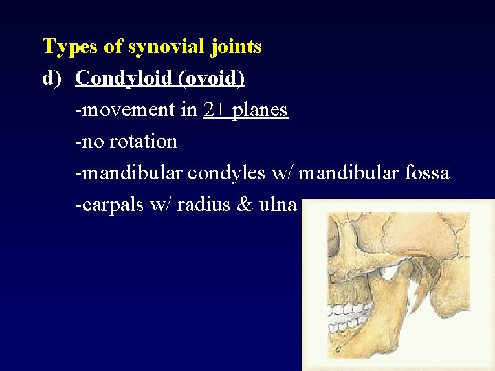 Types of synovial joints d) Condyloid (ovoid) -movement in 2+ planes -no rotation -mandibular