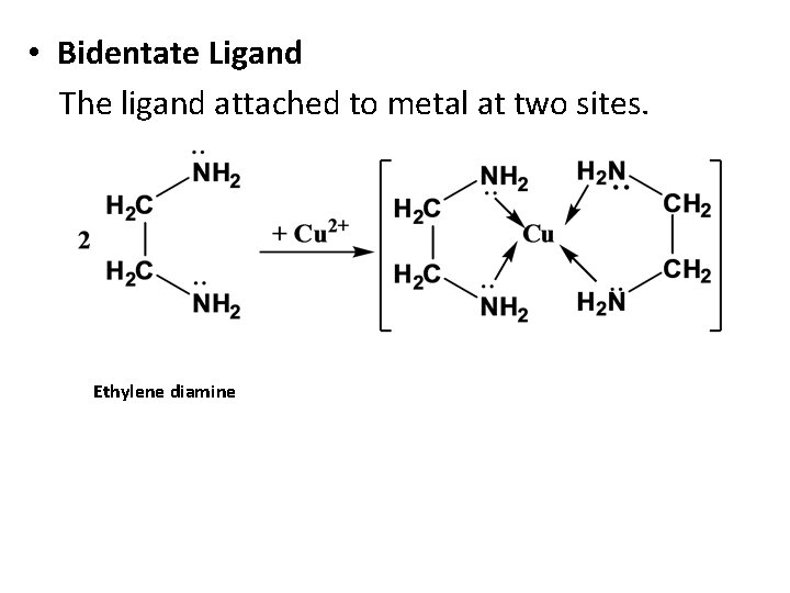  • Bidentate Ligand The ligand attached to metal at two sites. Ethylene diamine