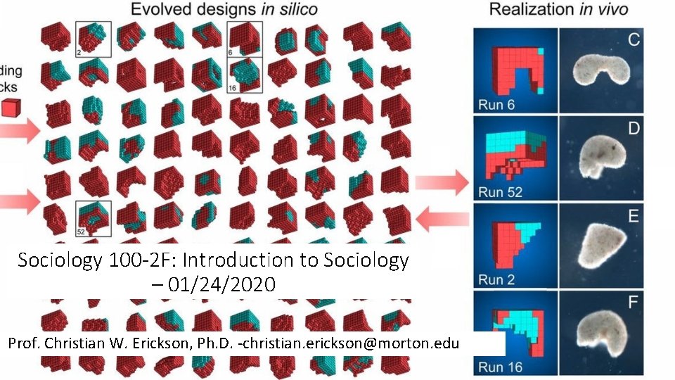 Sociology 100 -2 F: Introduction to Sociology – 01/24/2020 Prof. Christian W. Erickson, Ph.