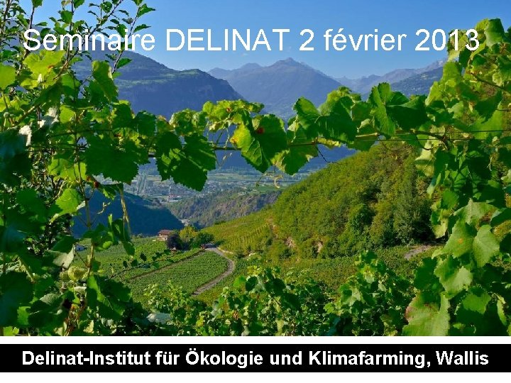 Seminaire DELINAT 2 février 2013 Delinat-Institut für Klimafarming, Delinat-Institut fürÖkologie undund Klimafarming, Wallis (CH)