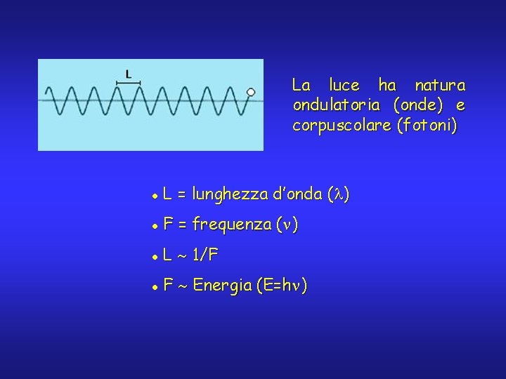 La luce ha natura ondulatoria (onde) e corpuscolare (fotoni) l L = lunghezza d’onda