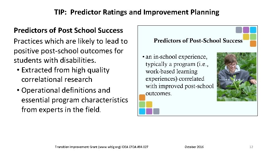 TIP: Predictor Ratings and Improvement Planning Predictors of Post School Success Practices which are