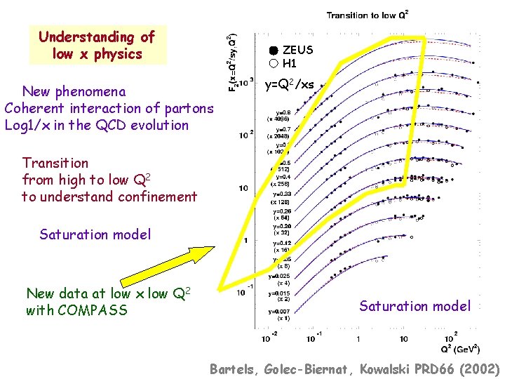 Understanding of low x physics ZEUS H 1 New phenomena Coherent interaction of partons