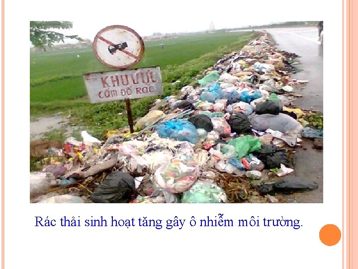 Rác thải sinh hoạt tăng gây ô nhiễm môi trường. 