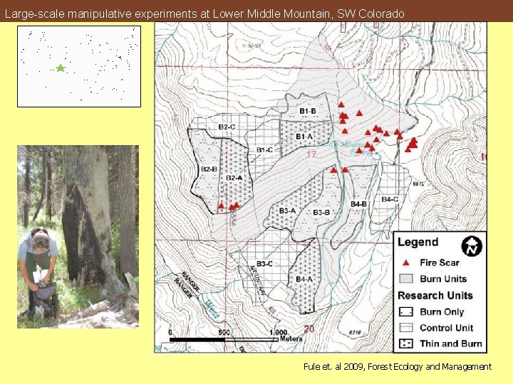 Large-scale manipulative experiments at Lower Middle Mountain, SW Colorado Fule et. al 2009, Forest