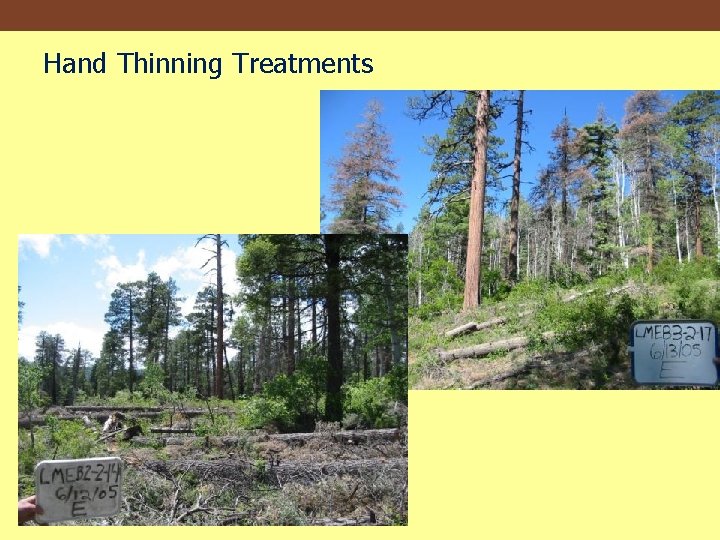 Hand Thinning Treatments 