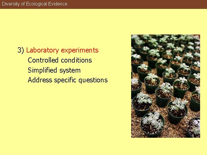 Diversity of Ecological Evidence 3) Laboratory experiments Controlled conditions Simplified system Address specific questions