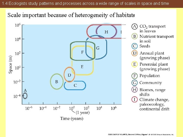 1. 4 Ecologists study patterns and processes across a wide range of scales in