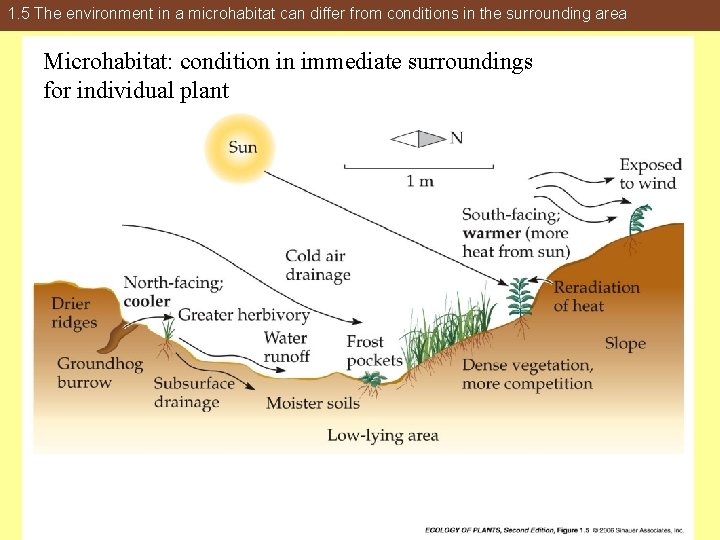 1. 5 The environment in a microhabitat can differ from conditions in the surrounding